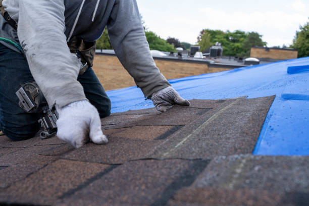 Roof Restoration in Fountainebleau, FL